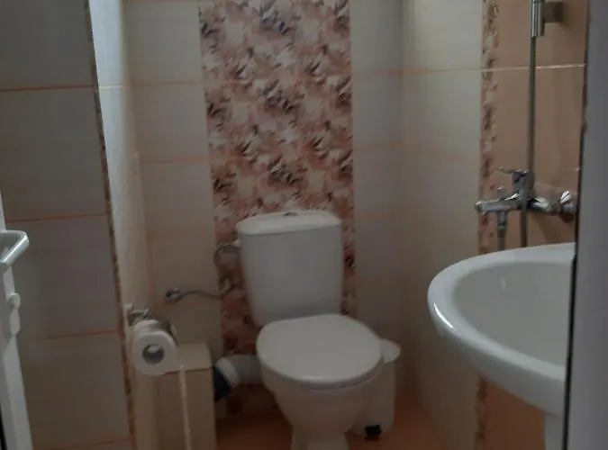 Πανσιόν Diamandievi Νεσέμπαρ